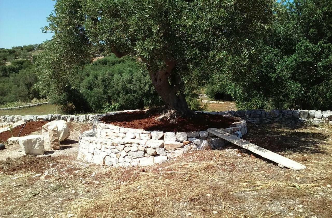 Villa Trullo Alto Salento à Cisternino Extérieur photo